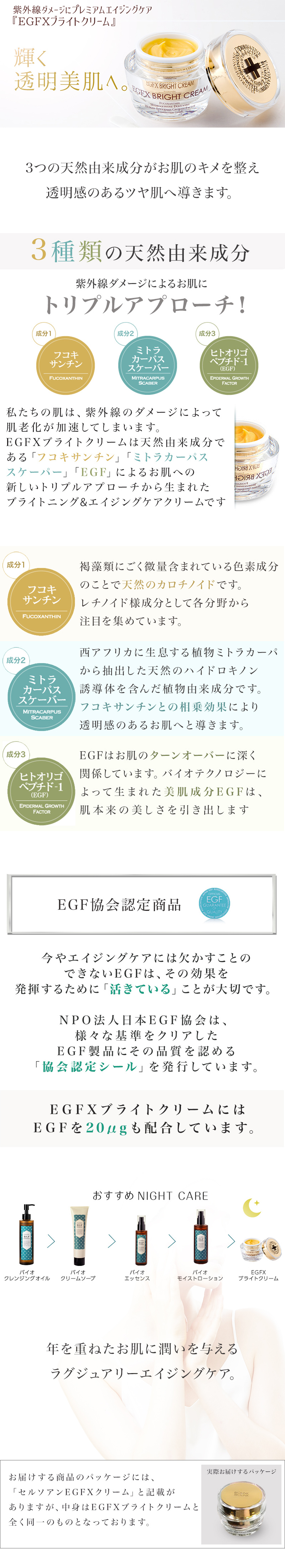 EGFXブライトクリーム