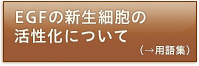 EGFの新生細胞の活性化について