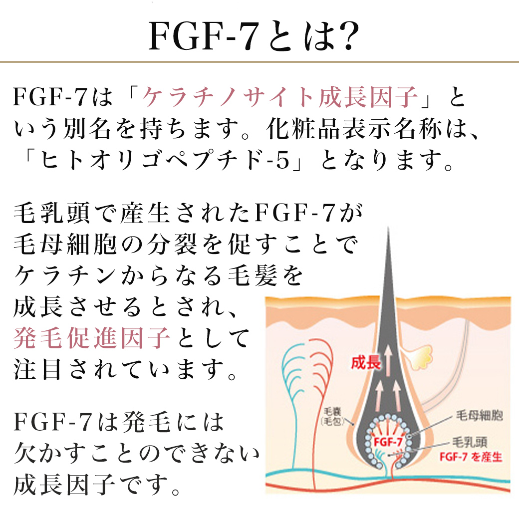 FGF-7とは